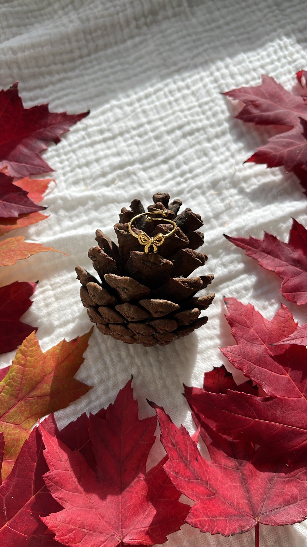 Bague noeud papillon