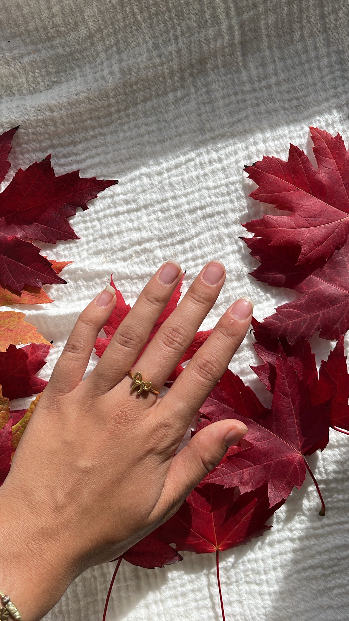 Bague noeud papillon