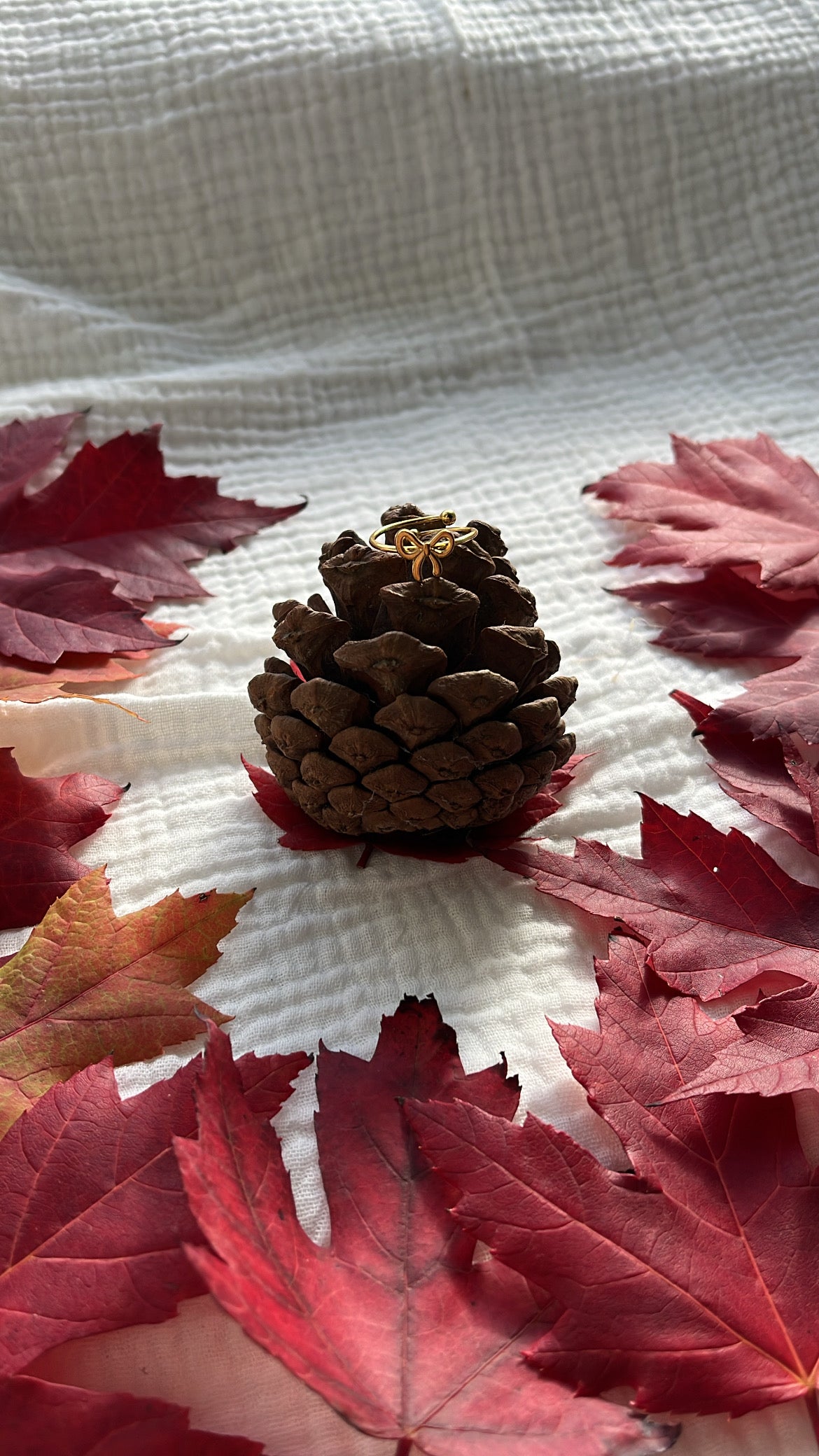 Bague noeud papillon