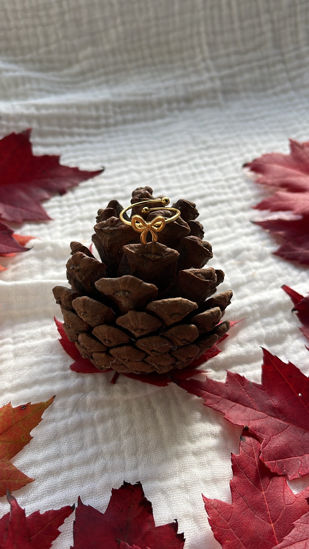 Bague noeud papillon